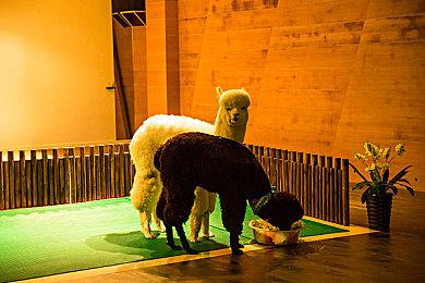 《炽热合金》团队新作《逆袭：月亮骑士》公开